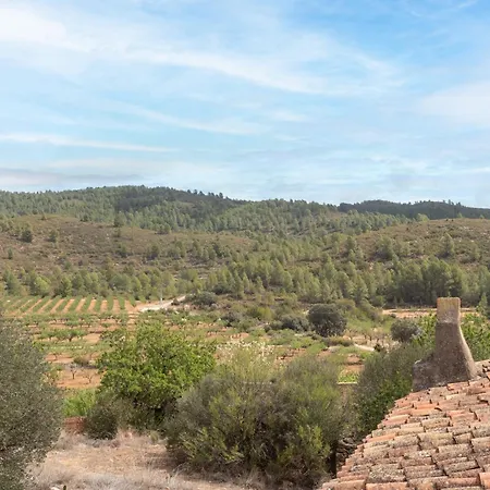 El Secret De Marco Vall dʼAlba